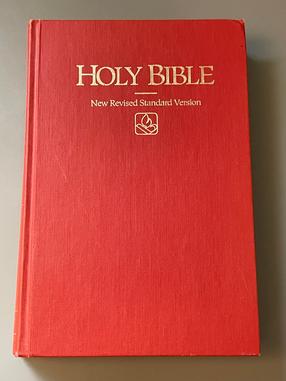 洋書 HOLY BIBLE NEW REVISED STANDARD VERSION 41BSvdt33jL._AC_UF1000,