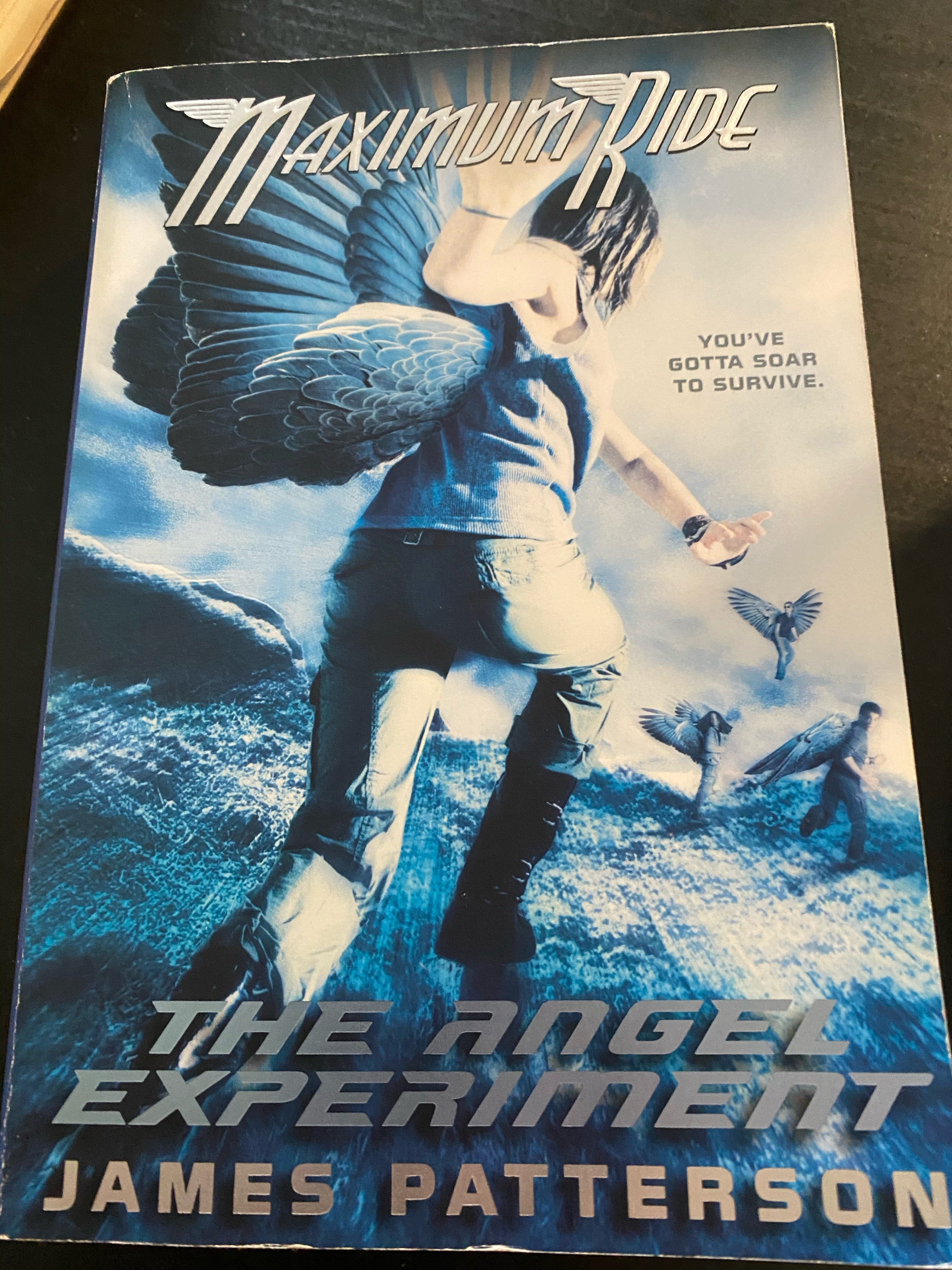 Maximum Ride Movie Poster